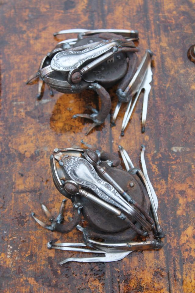 frogs