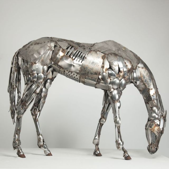 horse
