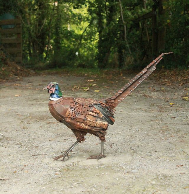 pheasant