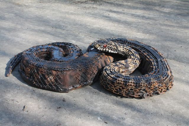 snake
