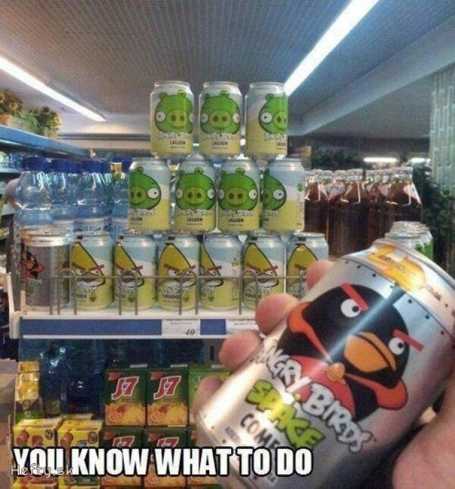 angry birds lilve