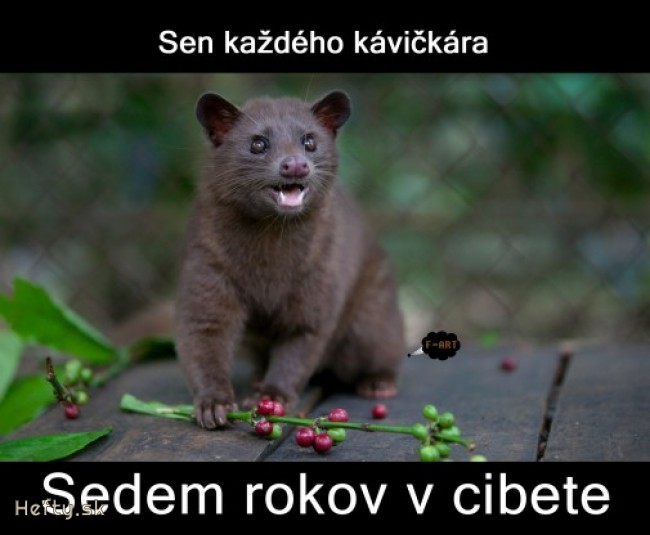 ocen&iacute; každ&yacute; kaf&iacute;čkov&yacute; kaj&scaron;mentke