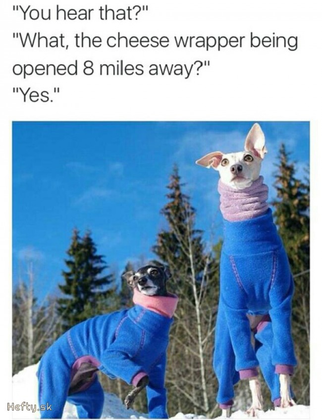 dogma