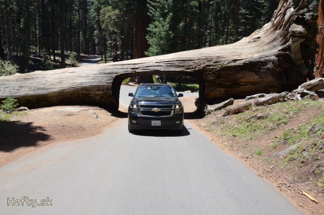 sequoia capital