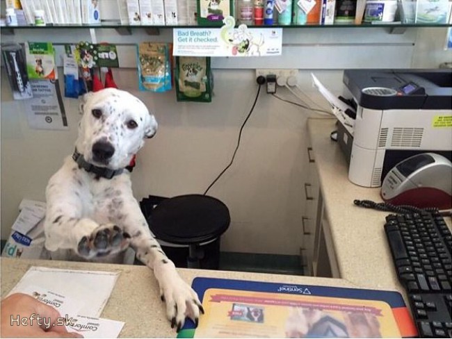 whatever you're doing, stop right now