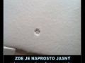 mačka vs. sneh