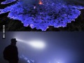 modr&yacute; vulk&aacute;n - Kawah Ijen Indon&eacute;zia 