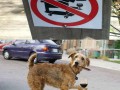 no problema senor