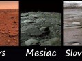 slovensk&aacute; realita